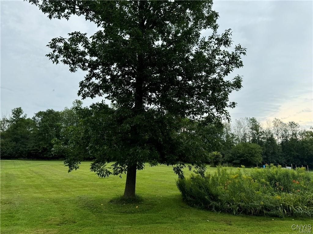 Cobbville Road Adams, NY 13605 - Photo 4 of 5