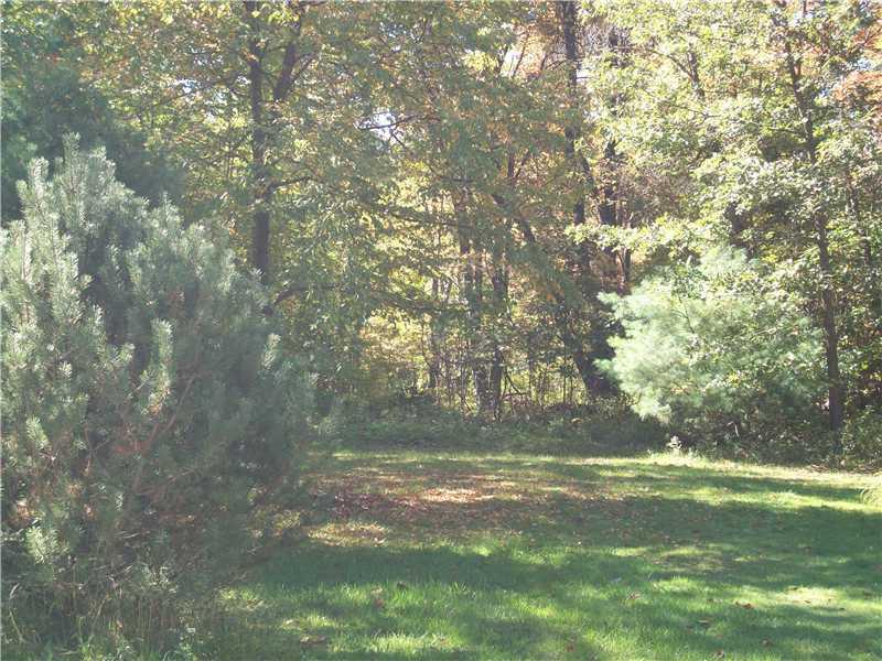 1761 Dennison Run Road Polk, PA 16342 - Photo 19 of 20 Land/Lot.