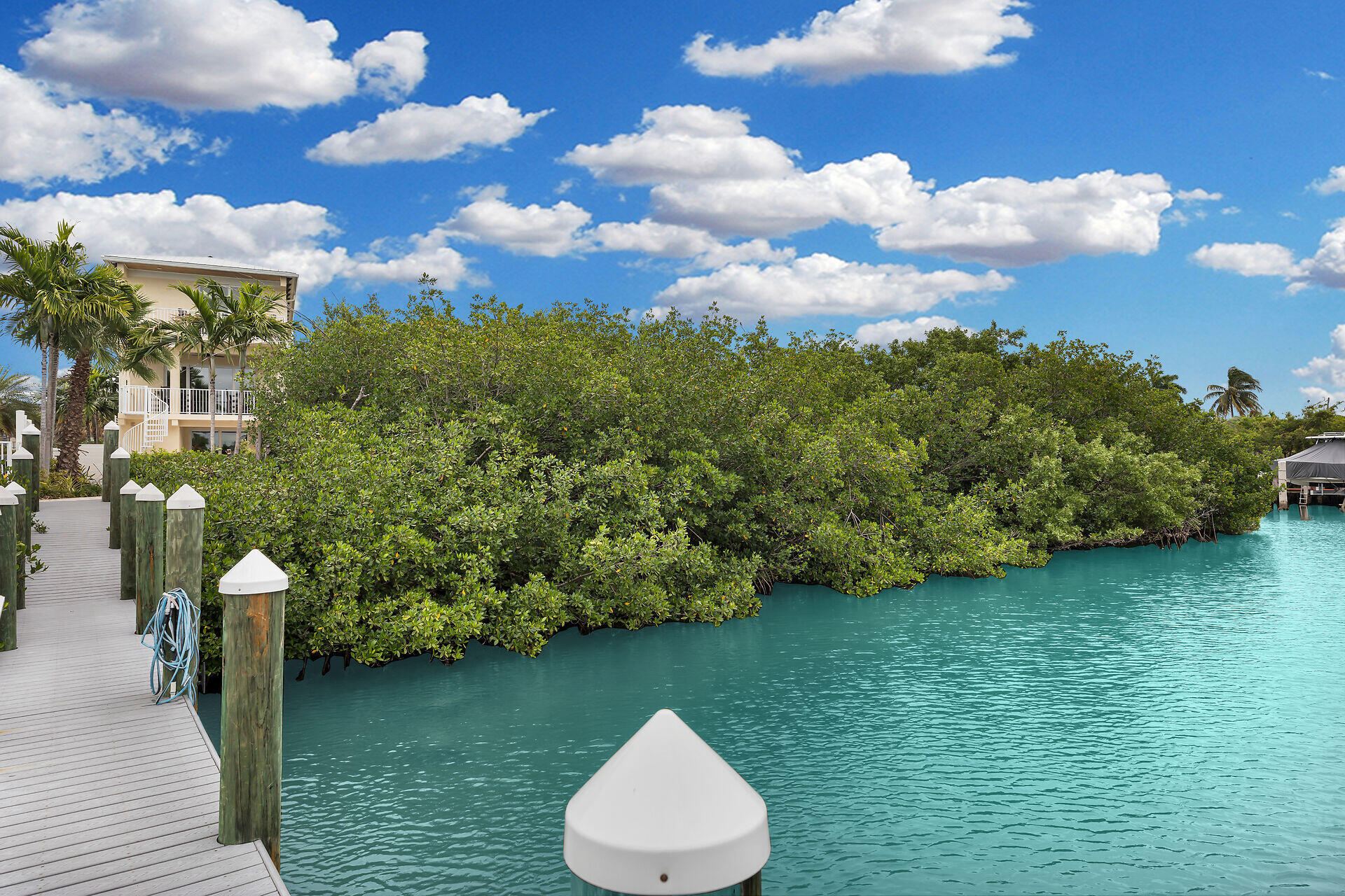 451 Sombrero Beach Road Marathon, FL 33050 - Photo 50 of 55 a view of a garden
