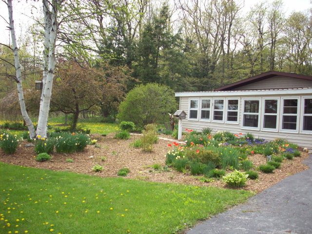 Main View