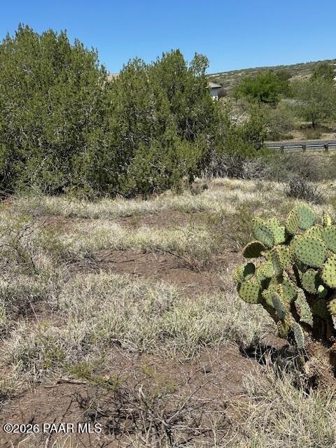 15425 East Upper Ridge Lane Mayer, AZ 86333 - Photo 11 of 29 a view of a dry yard with green space