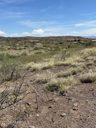 a view of a mountain in the distance in a field