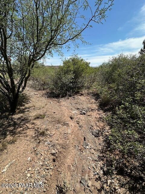 15425 East Upper Ridge Lane Mayer, AZ 86333 - Photo 5 of 29 a view of a yard with a tree