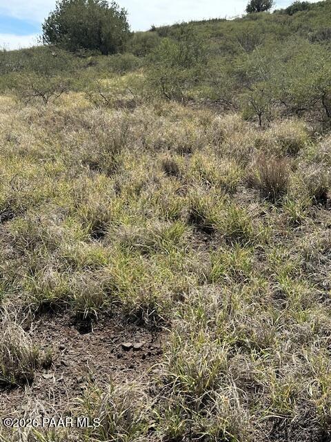 15425 East Upper Ridge Lane Mayer, AZ 86333 - Photo 8 of 29 a view of a field with plants and trees