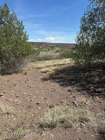 a view of a dry yard with green space