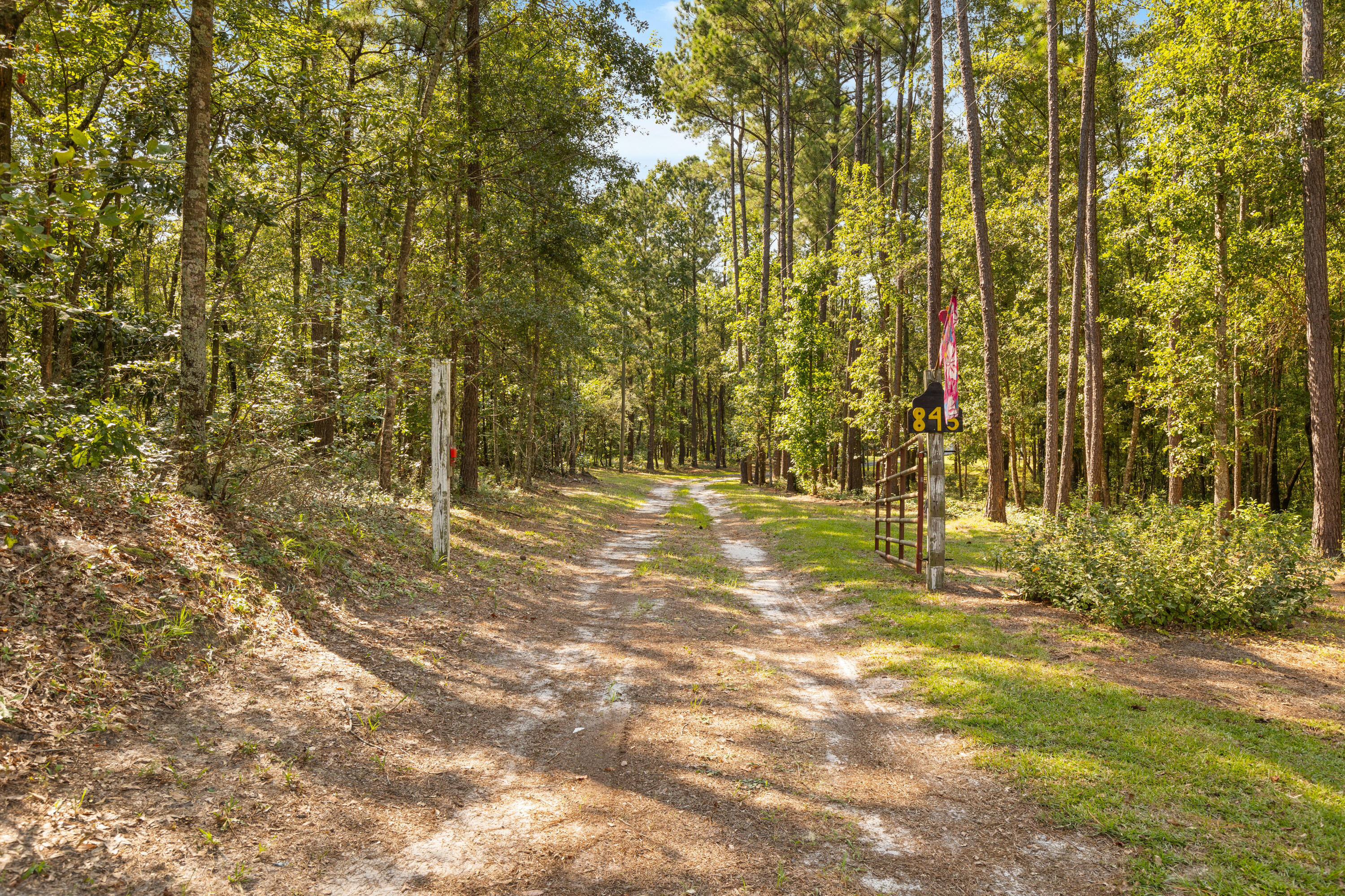 845 Schoolhouse Road Dorchester, SC 29437 - Photo 2 of 37 1G1A6256