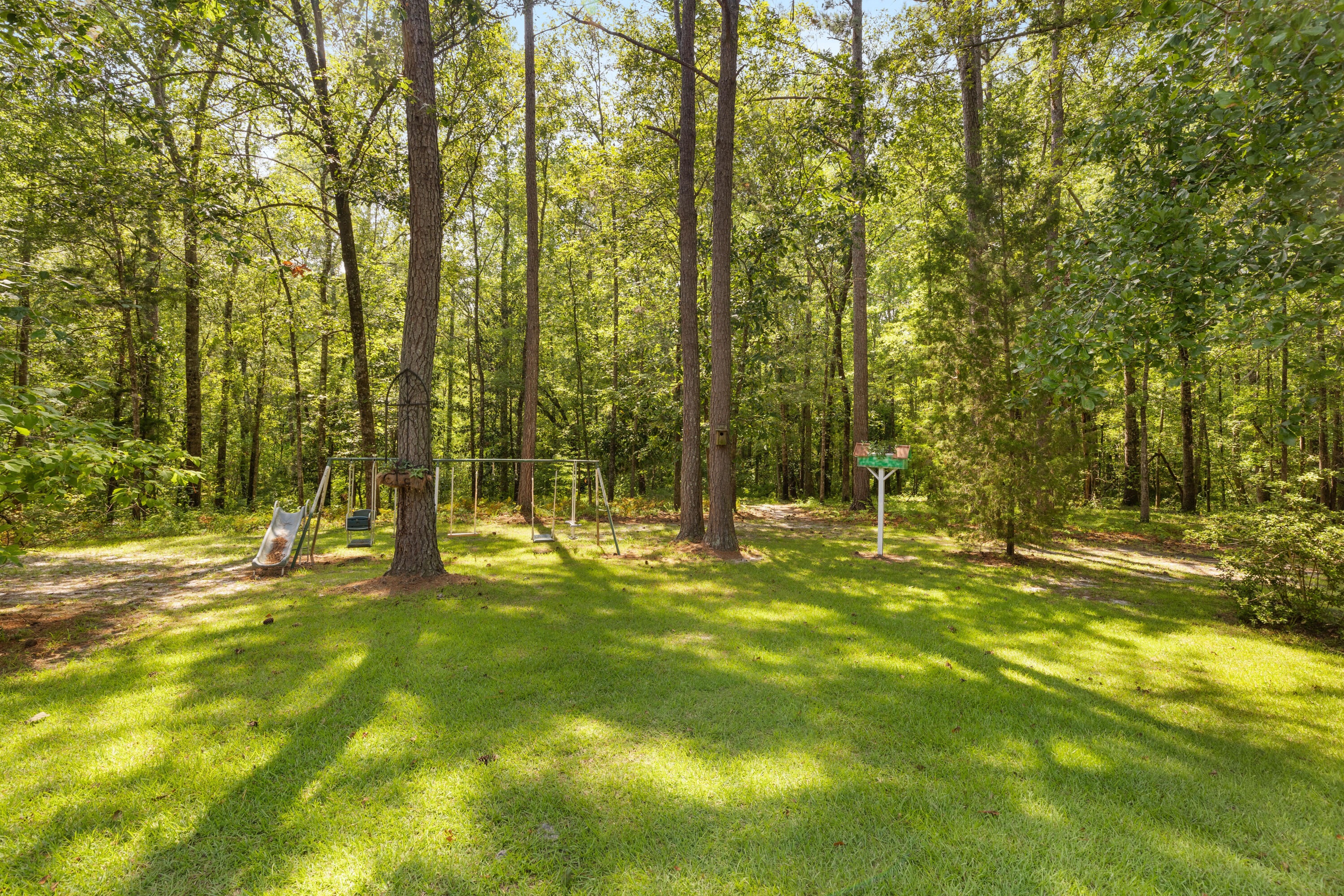 845 Schoolhouse Road Dorchester, SC 29437 - Photo 35 of 37 1G1A6081