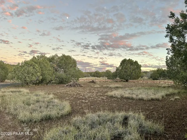 a view of a big yard