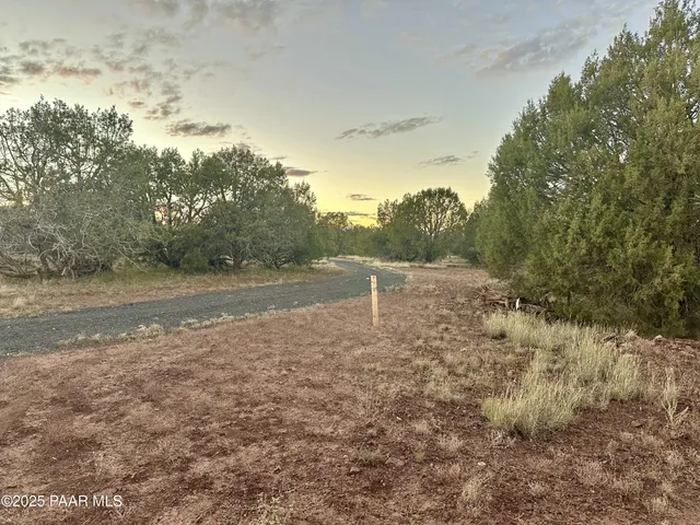 a view of outdoor space with trees all around