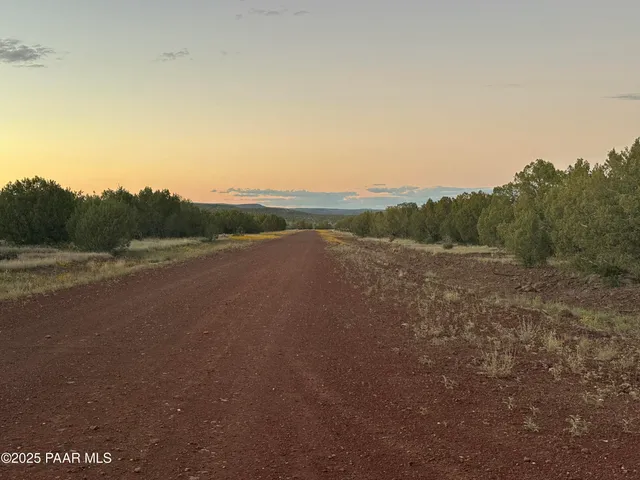 a view of a field with trees in the background