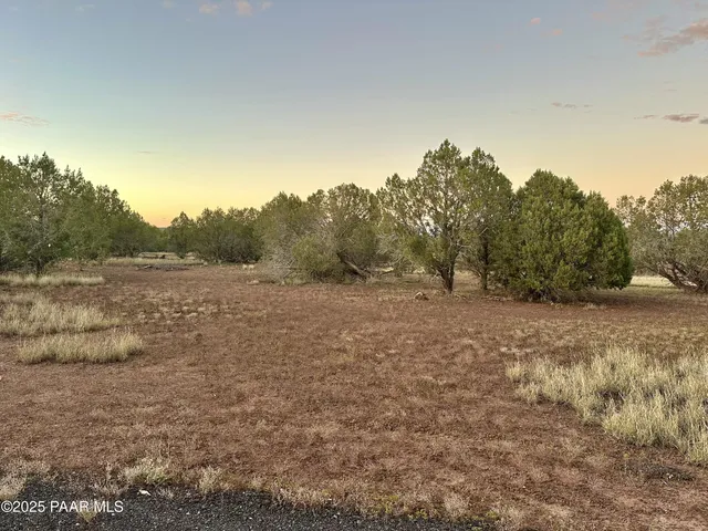 a view of a field with trees in background