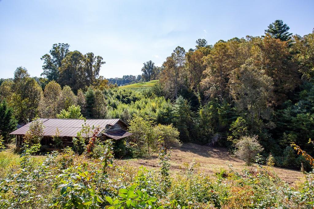 25 Ruff Road Leicester, NC 28748 - Photo 31 of 46