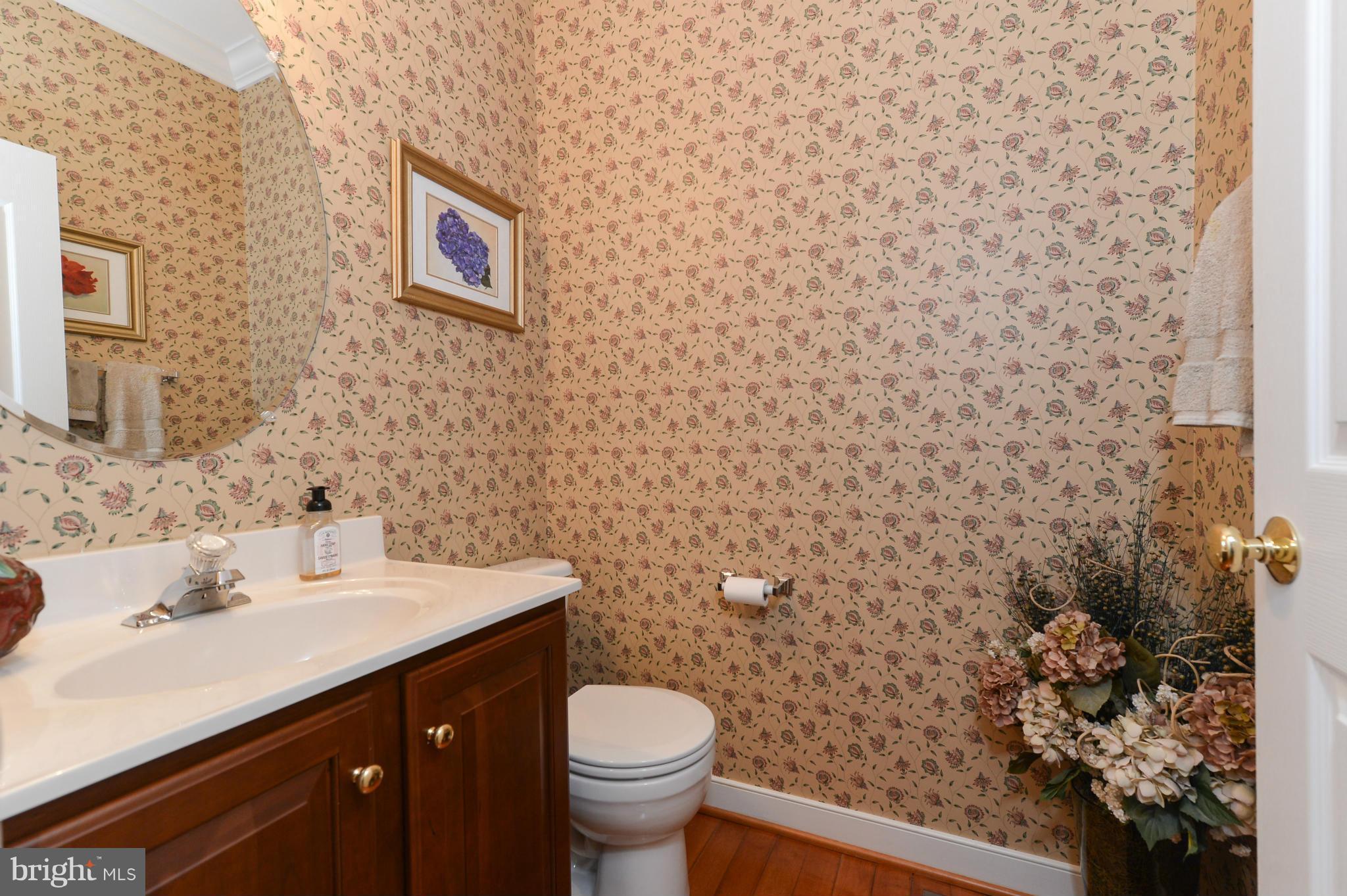243 Manchester Drive Rising Sun, MD 21911 - Photo 15 of 30 Bath