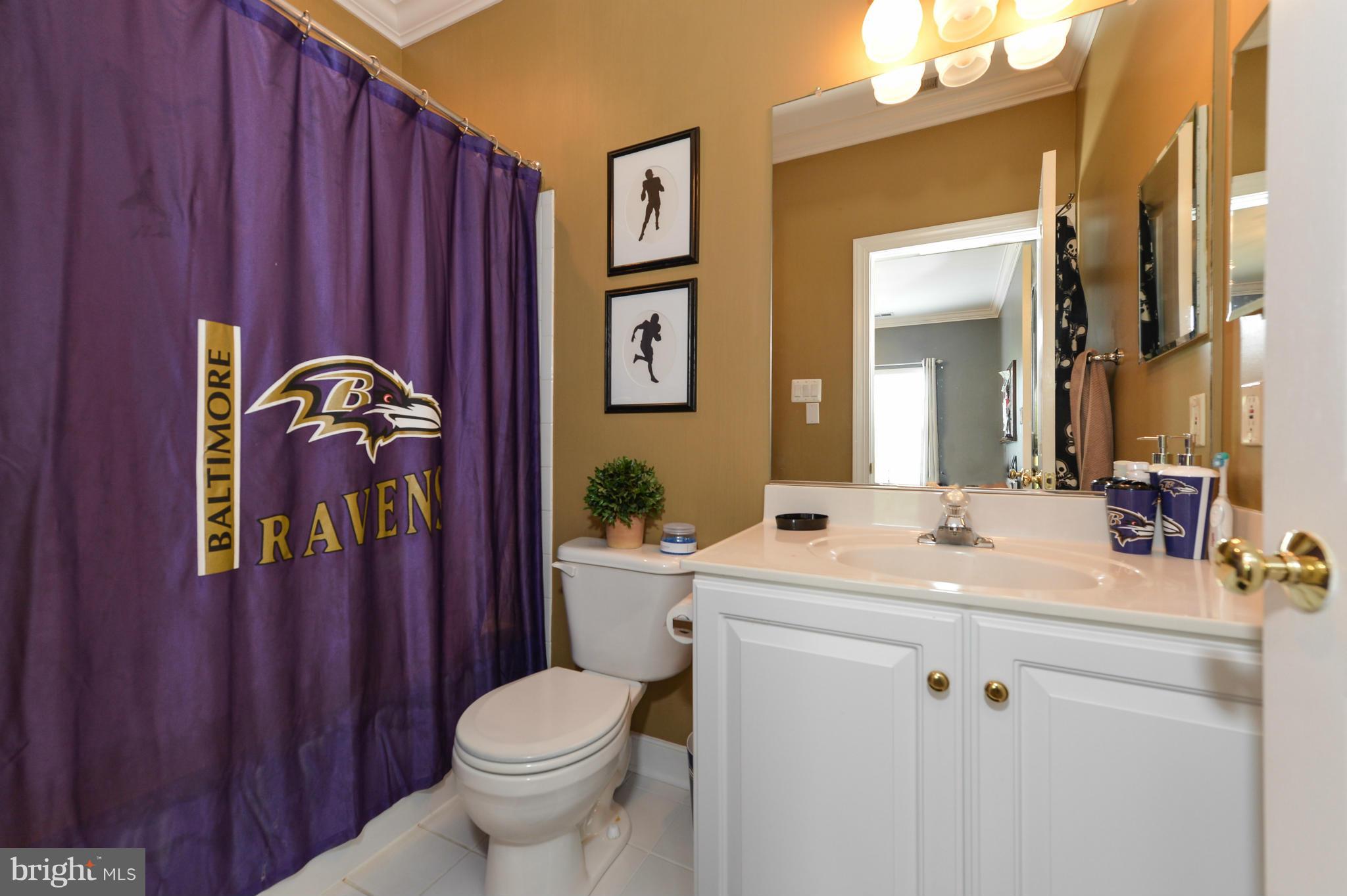 243 Manchester Drive Rising Sun, MD 21911 - Photo 17 of 30 Bath