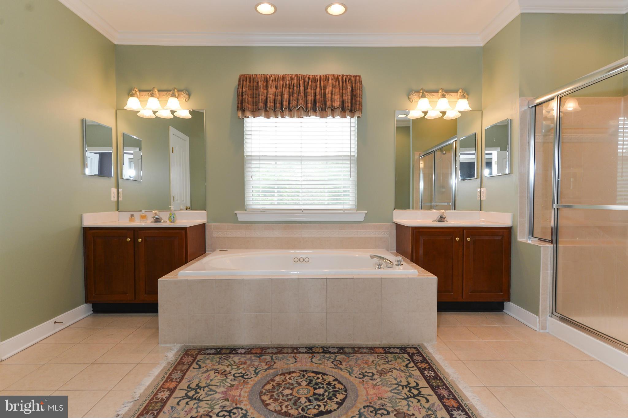 243 Manchester Drive Rising Sun, MD 21911 - Photo 21 of 30 Bath (Master)