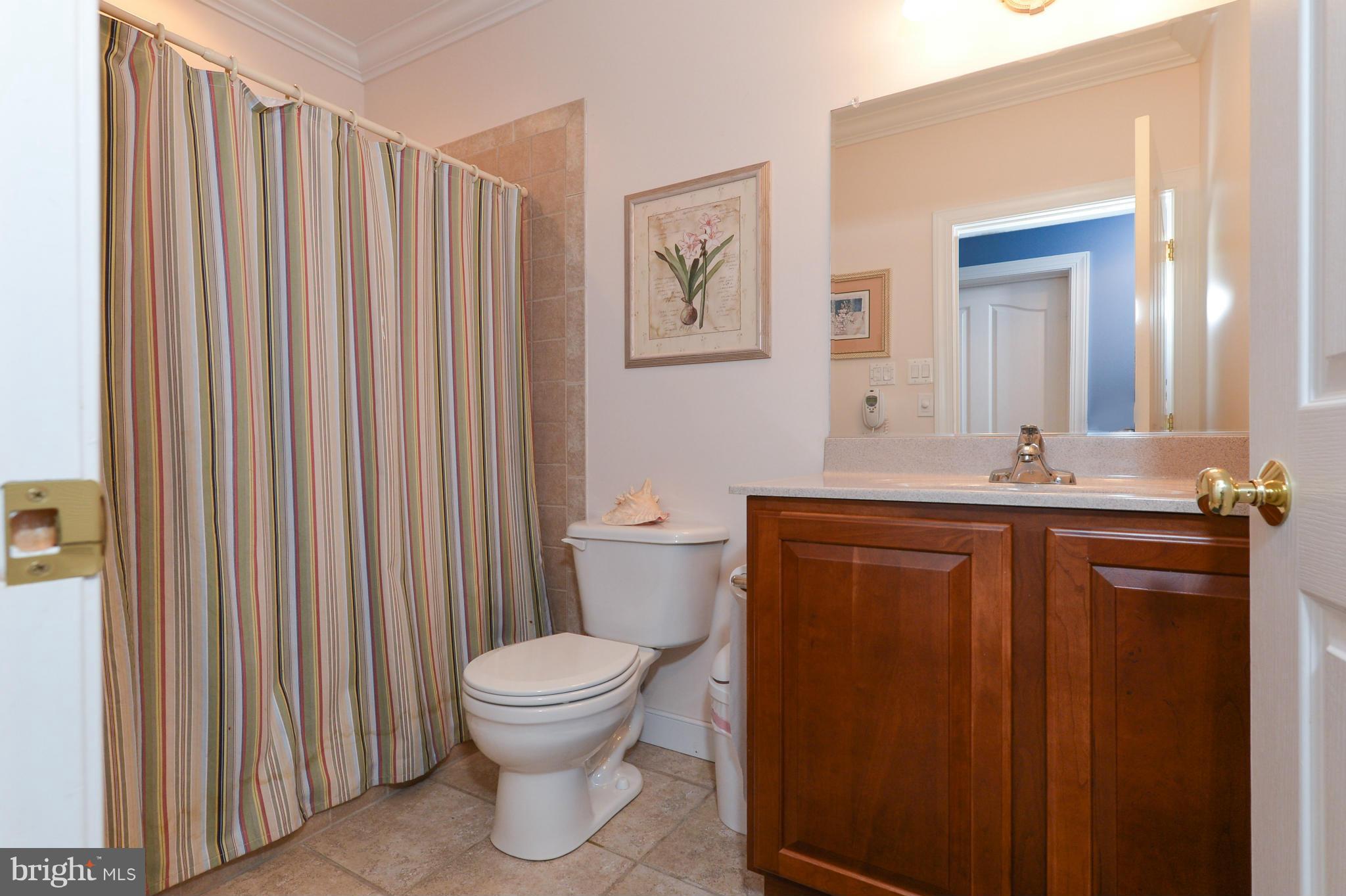 243 Manchester Drive Rising Sun, MD 21911 - Photo 25 of 30 Basement