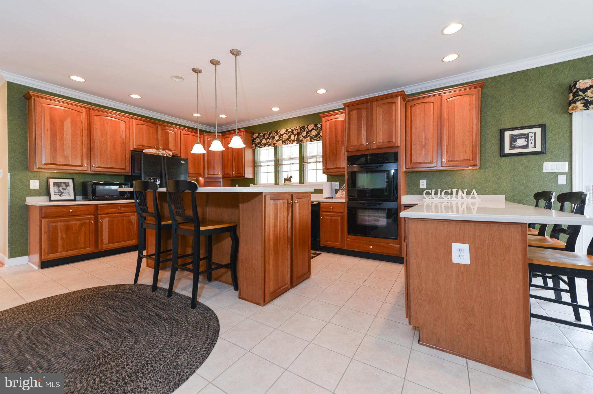 243 Manchester Drive Rising Sun, MD 21911 - Photo 9 of 30 Kitchen