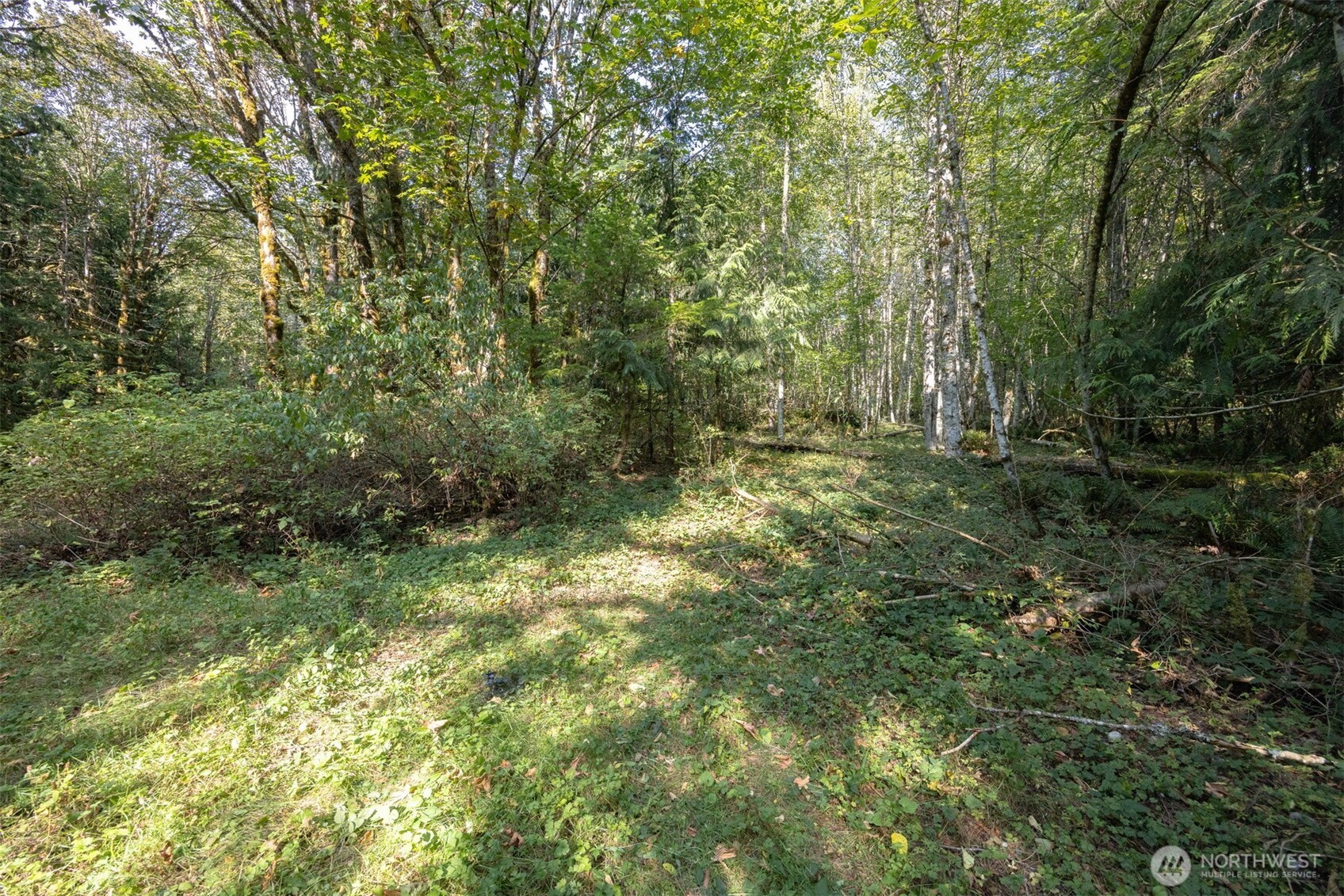 0 Ambridge Road Deming, WA 98244 - Photo 7 of 15 Gallery Image 7