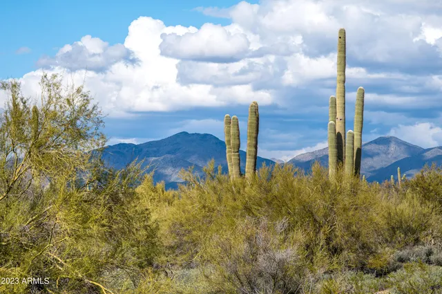 $7,800,000 | 8614 East Artisan Pass, Unit 125, Scottsdale, AZ 85266