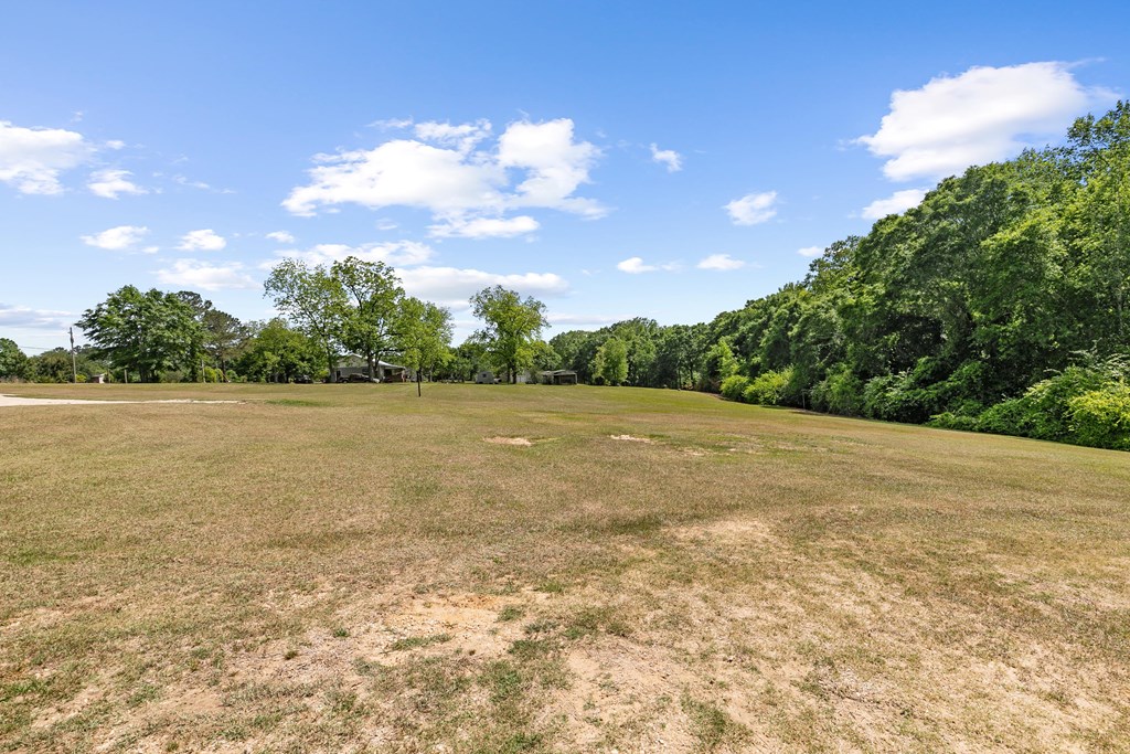 1048 Hubbard Road Newton, AL 36352 - Photo 10 of 39