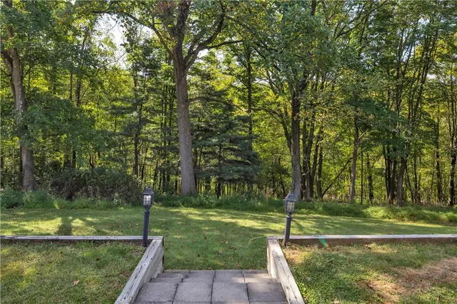 a view of a park with large trees