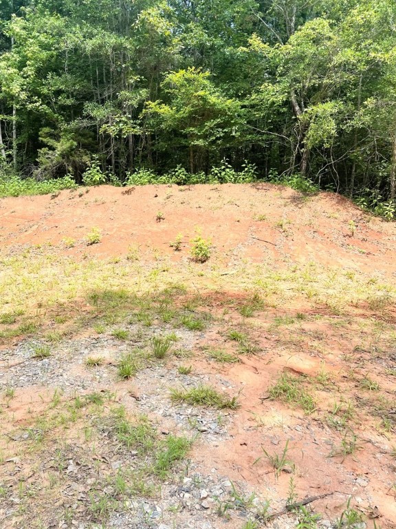 0 Nance Road Abbeville, SC 29620 - Photo 18 of 24 Gallery Image 18