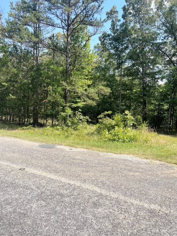 0 Nance Road Abbeville, SC 29620 - Photo 24 of 24 Gallery Image 24