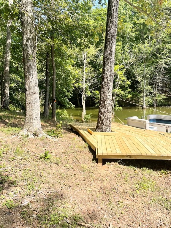 0 Nance Road Abbeville, SC 29620 - Photo 4 of 24 Gallery Image 4