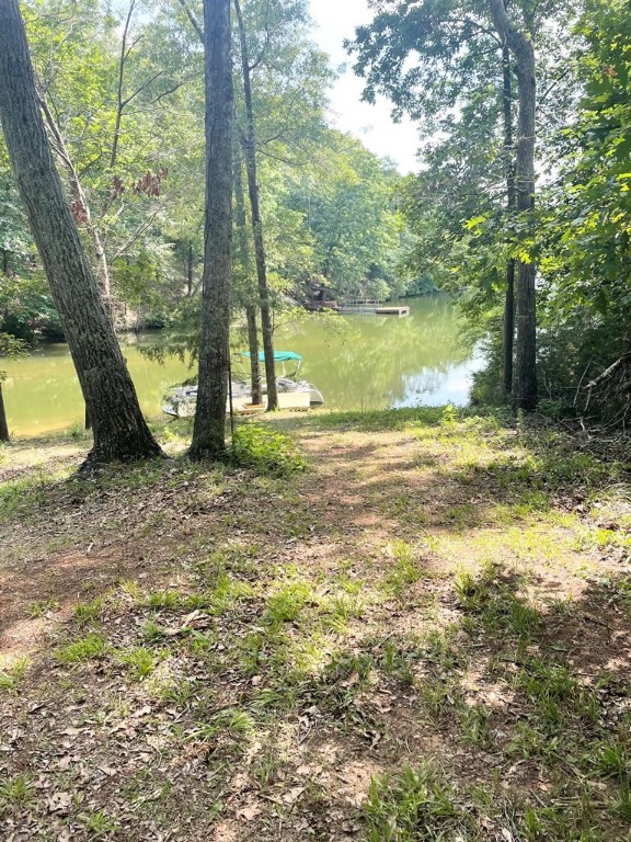 0 Nance Road Abbeville, SC 29620 - Photo 5 of 24 Gallery Image 5