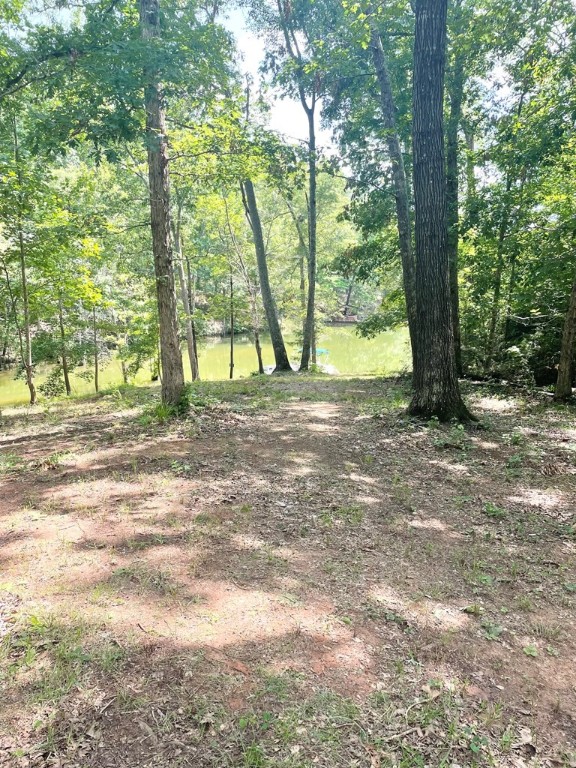 0 Nance Road Abbeville, SC 29620 - Photo 10 of 24 Gallery Image 10