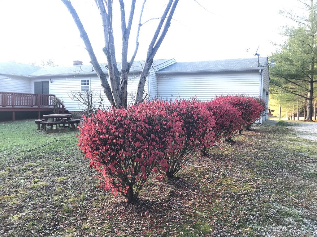 1078 Twin Creek Road Buckingham, VA 23921 - Photo 28 of 30 Gallery Image 28