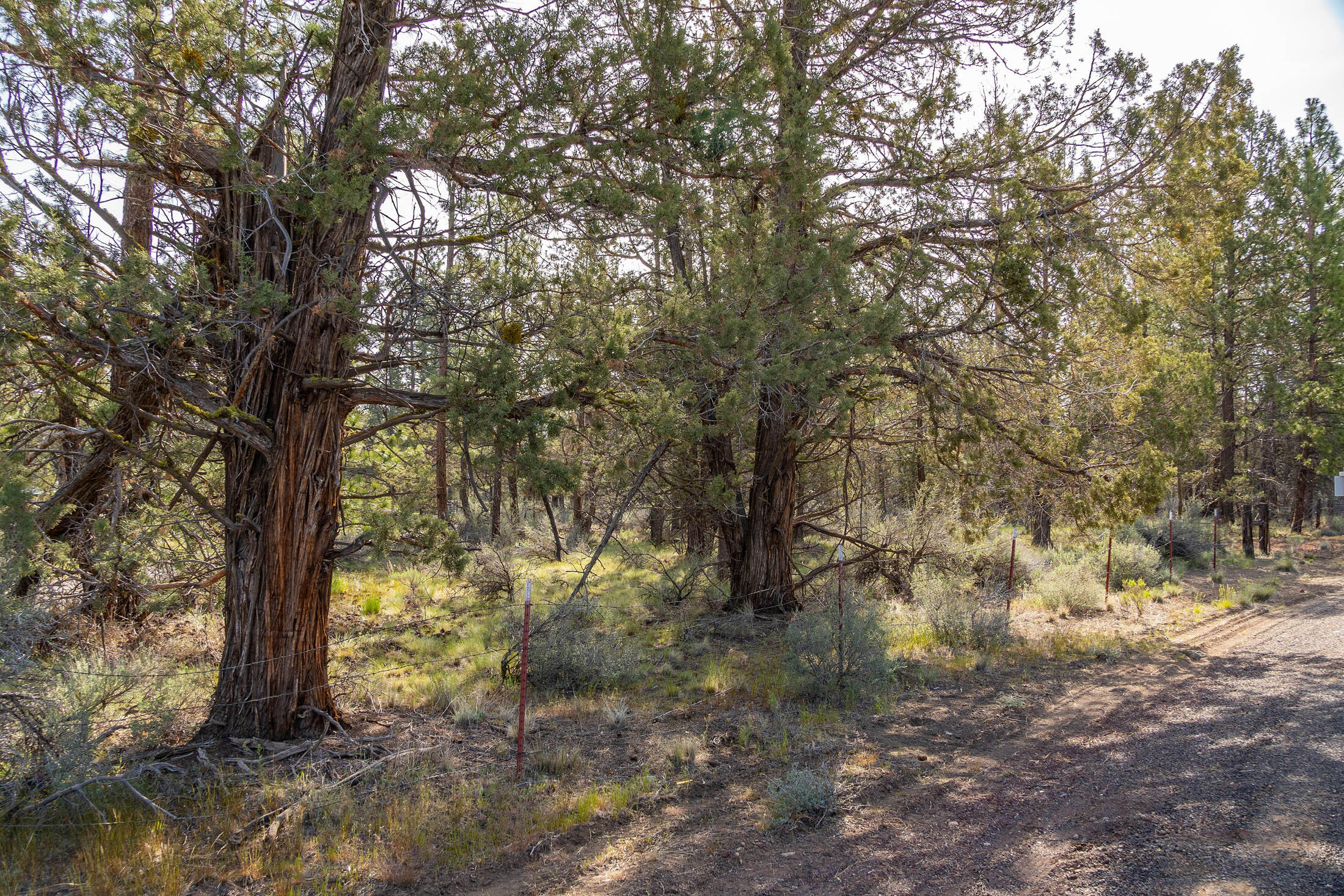 67296 Harrington Loop Road Bend, OR 97703 - Photo 4 of 54 67296 Harrington Loop_0002 copy