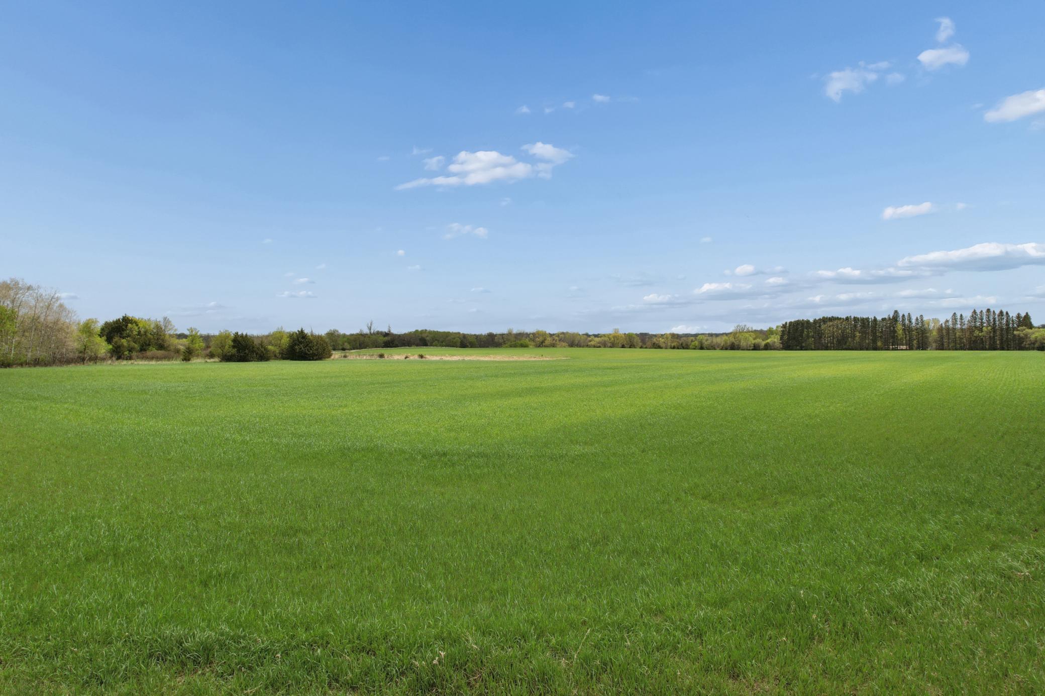 4 Of Sw1/4 Acres Located In Section 23 Jordan, MN 55352 - Photo 7 of 20