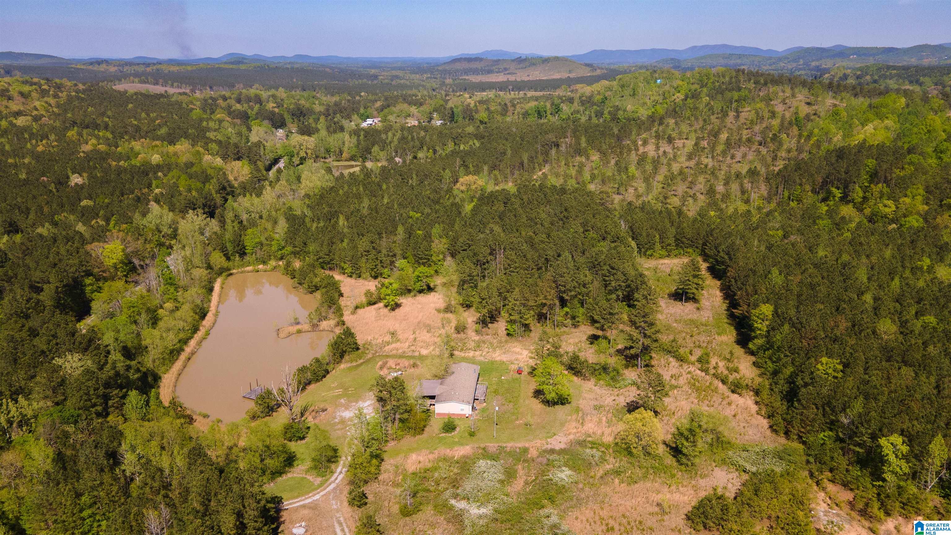 3554 Possum Trot Road Piedmont, AL 36272 - Photo 16 of 18