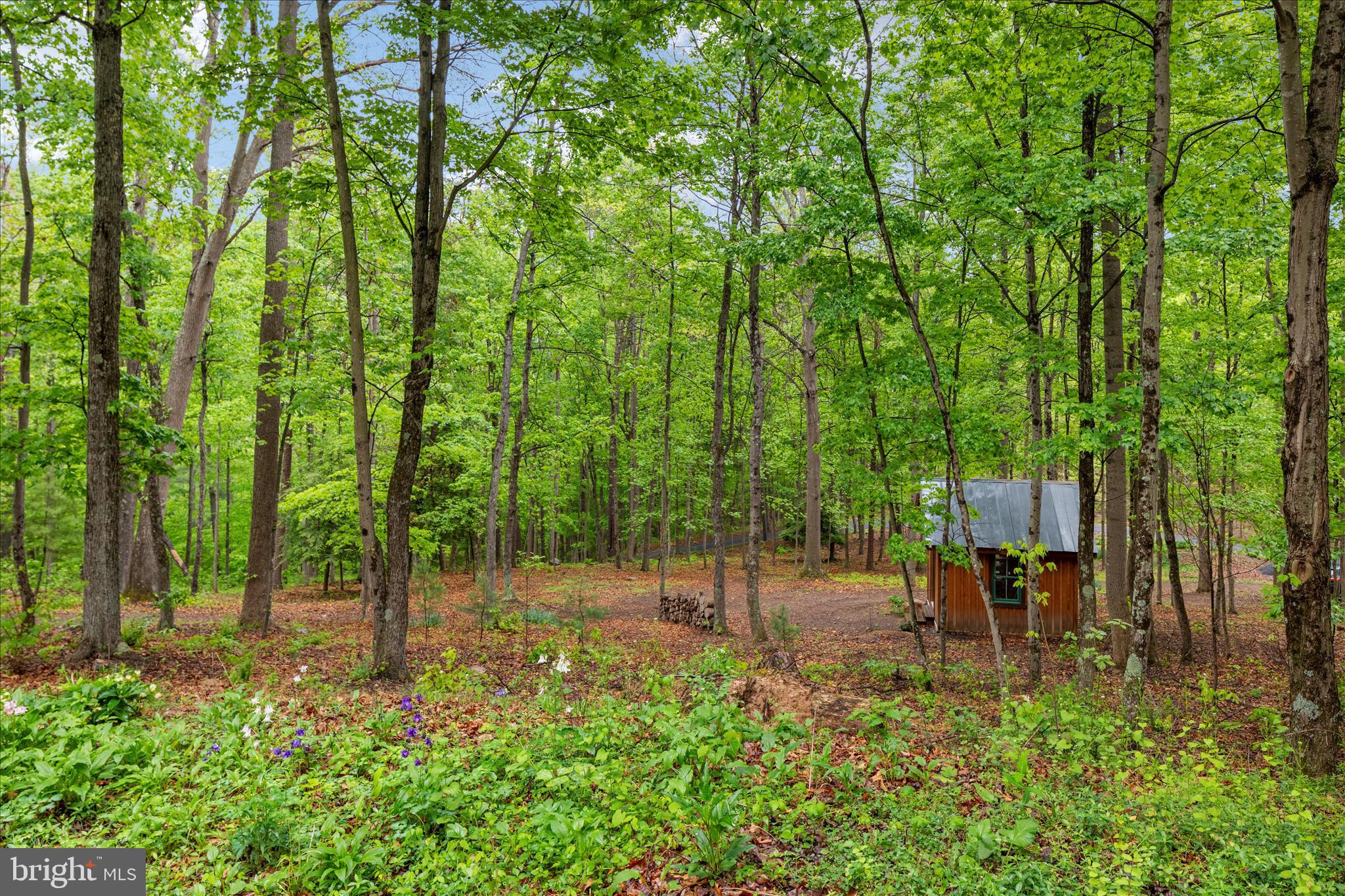 13581 Ford Hill Road Rio, WV 26755 - Photo 52 of 70 2E6A1260_13581 Ford Hill Rd - Absolute Altitude -