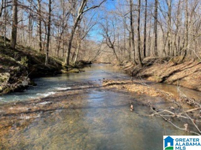 820 County Road, Unit 193 Roanoke, AL 36274 - Photo 1 of 15