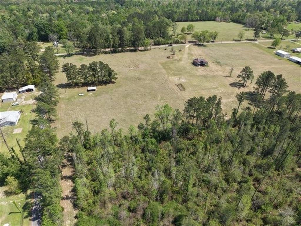 Tdb Tdb Clayton Parker Loop Deridder, LA 70634 - Photo 2 of 5