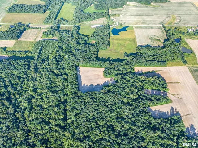 $470,000 | 0 Jones Ridge Road, Alma, IL 62807