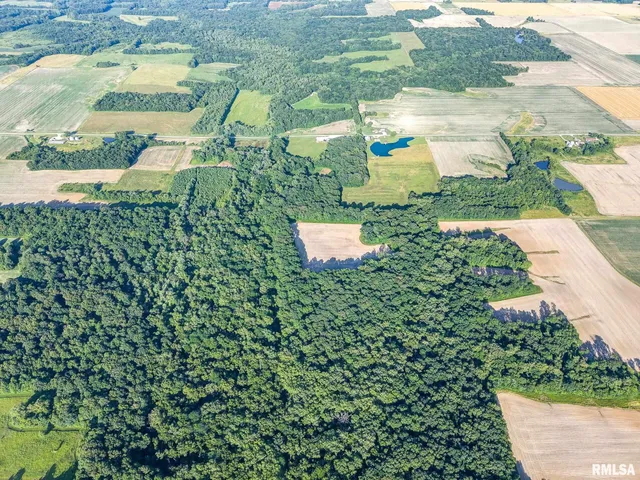 $470,000 | 0 Jones Ridge Road, Alma, IL 62807