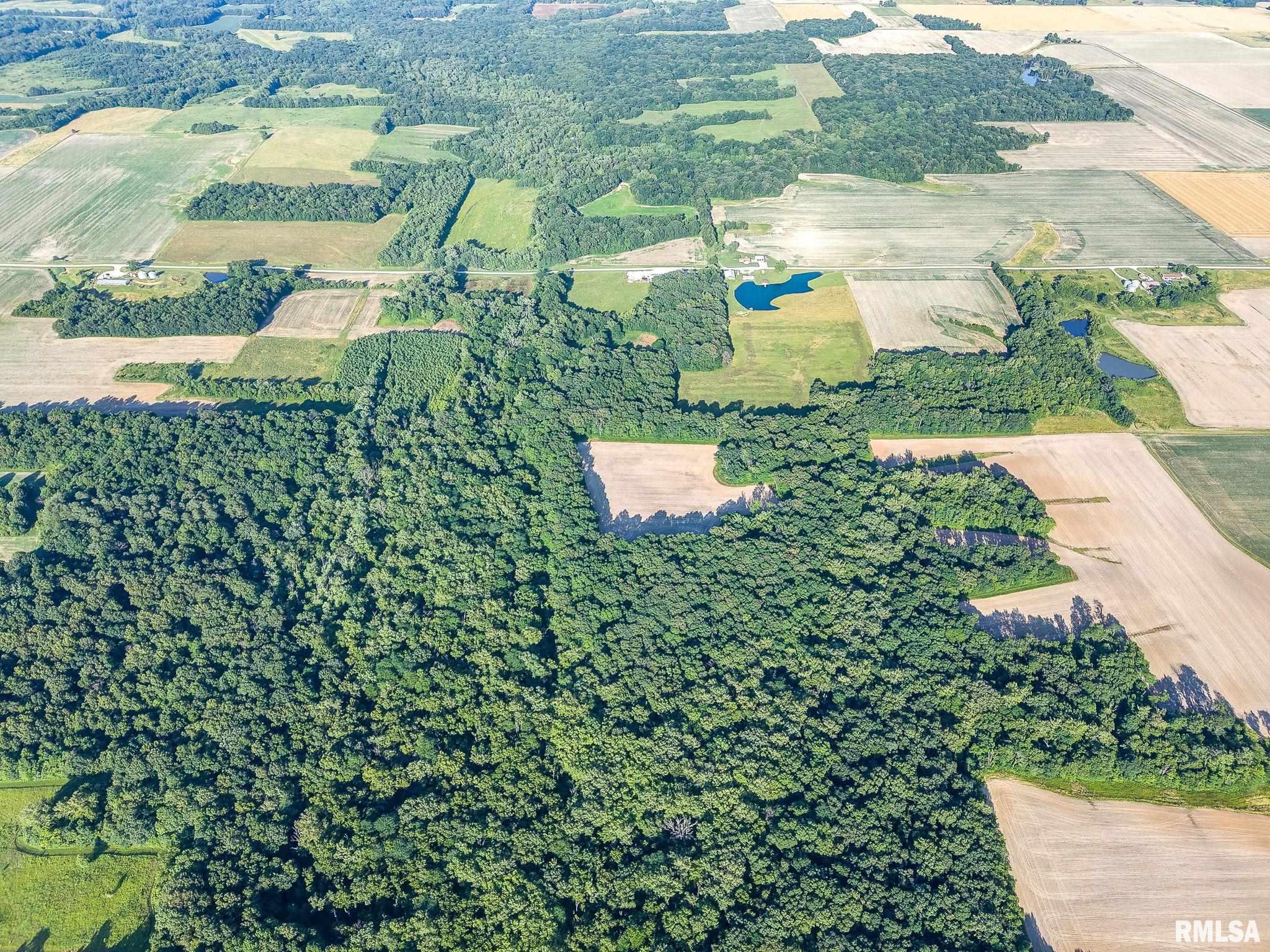 0 Jones Ridge Road Alma, IL 62807 - Photo 12 of 19