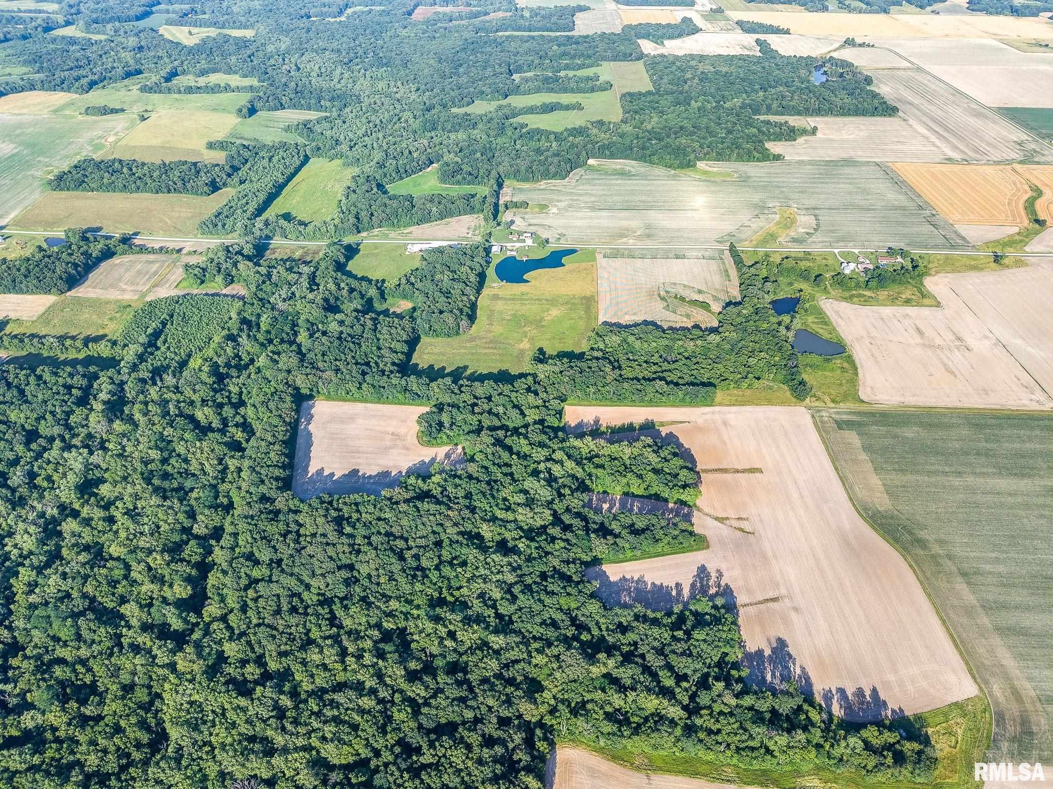 0 Jones Ridge Road Alma, IL 62807 - Photo 13 of 19