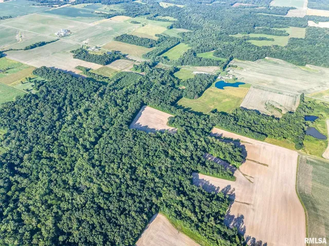 $470,000 | 0 Jones Ridge Road, Alma, IL 62807