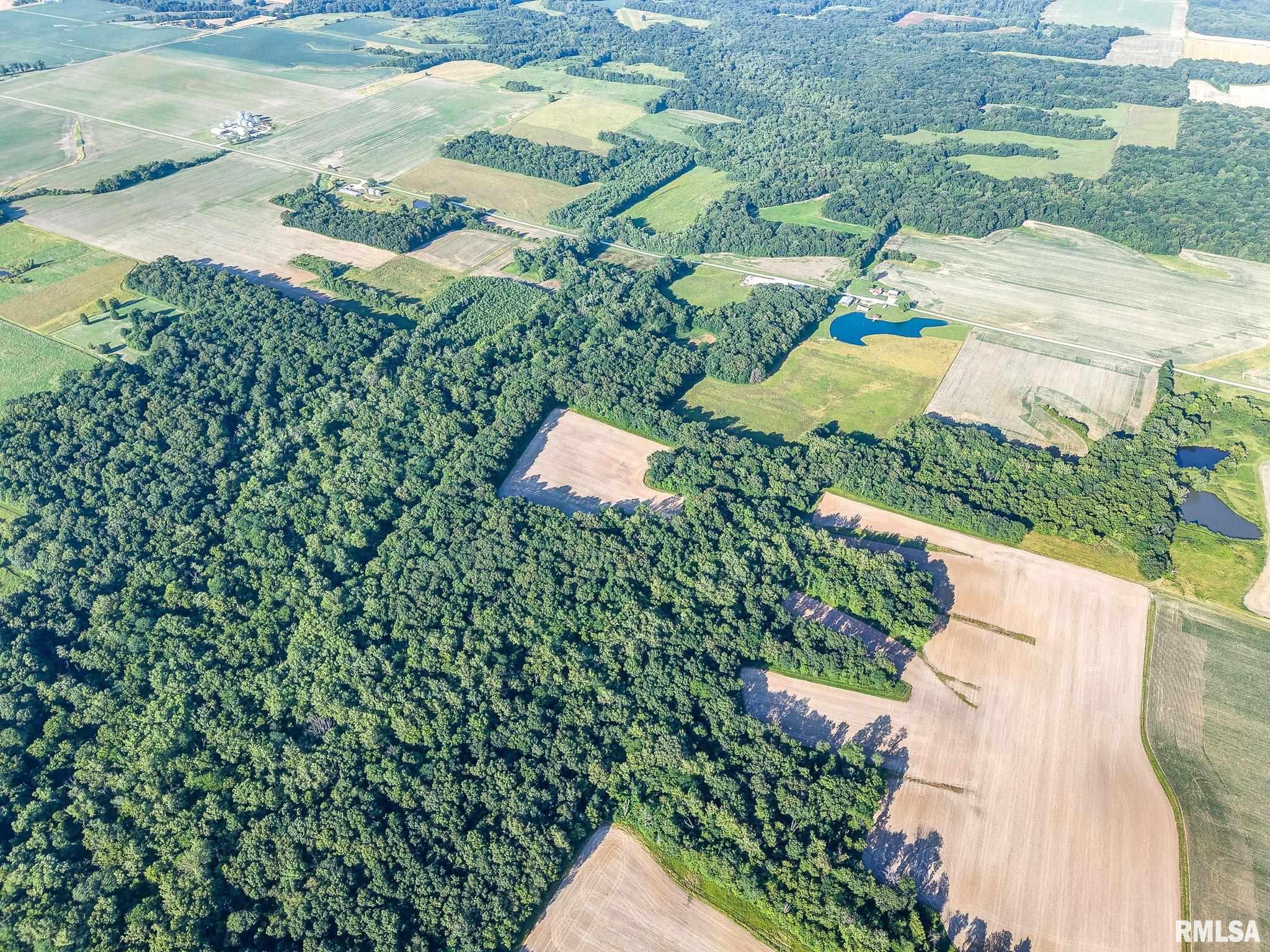 0 Jones Ridge Road Alma, IL 62807 - Photo 14 of 19