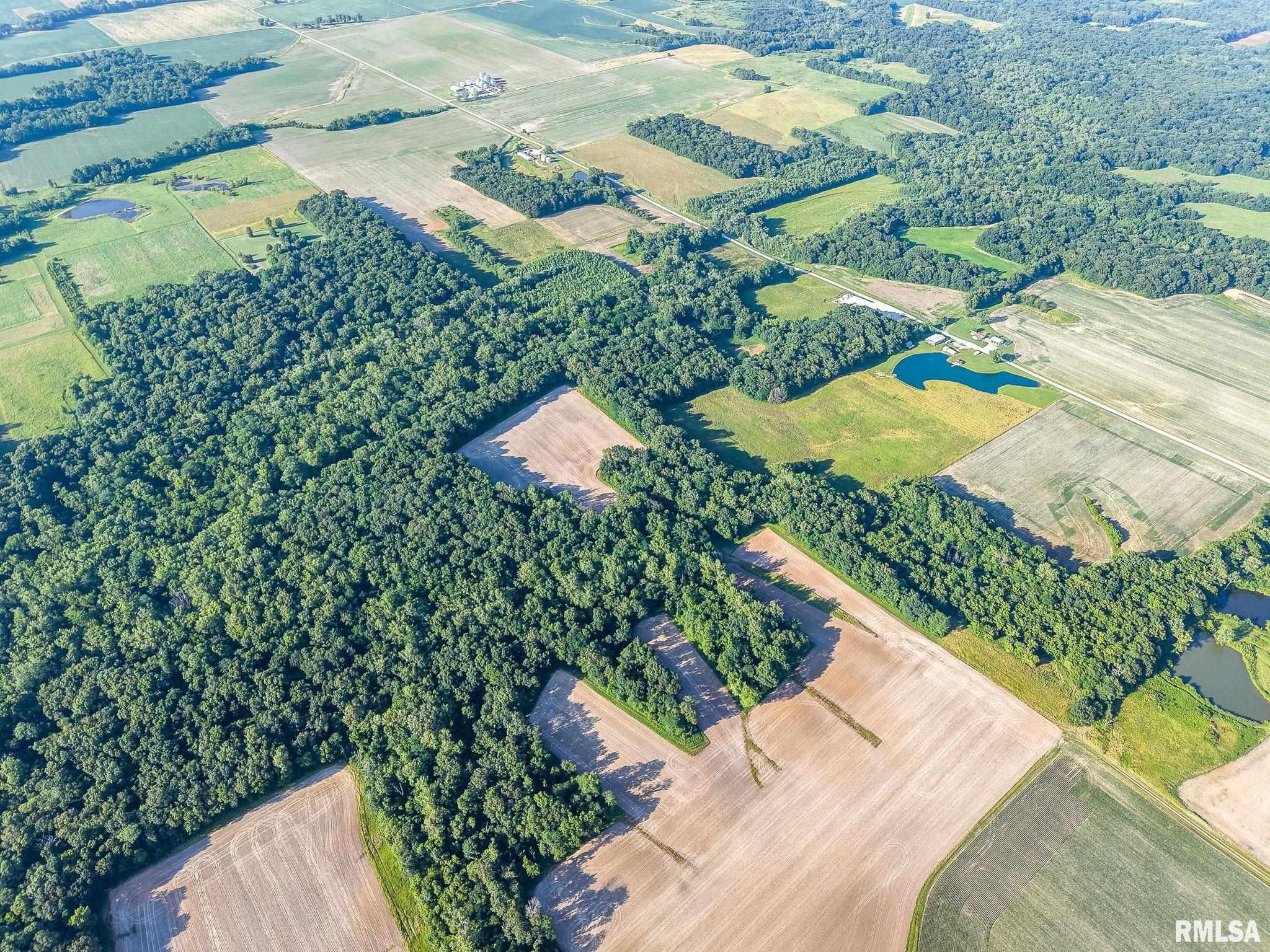 0 Jones Ridge Road Alma, IL 62807 - Photo 15 of 19