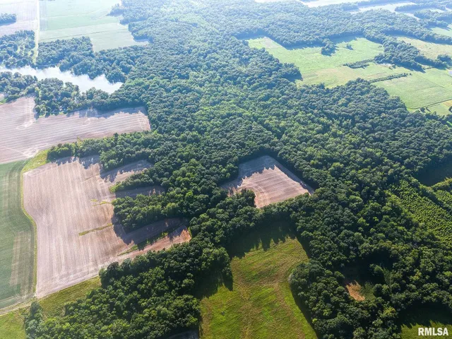 $470,000 | 0 Jones Ridge Road, Alma, IL 62807