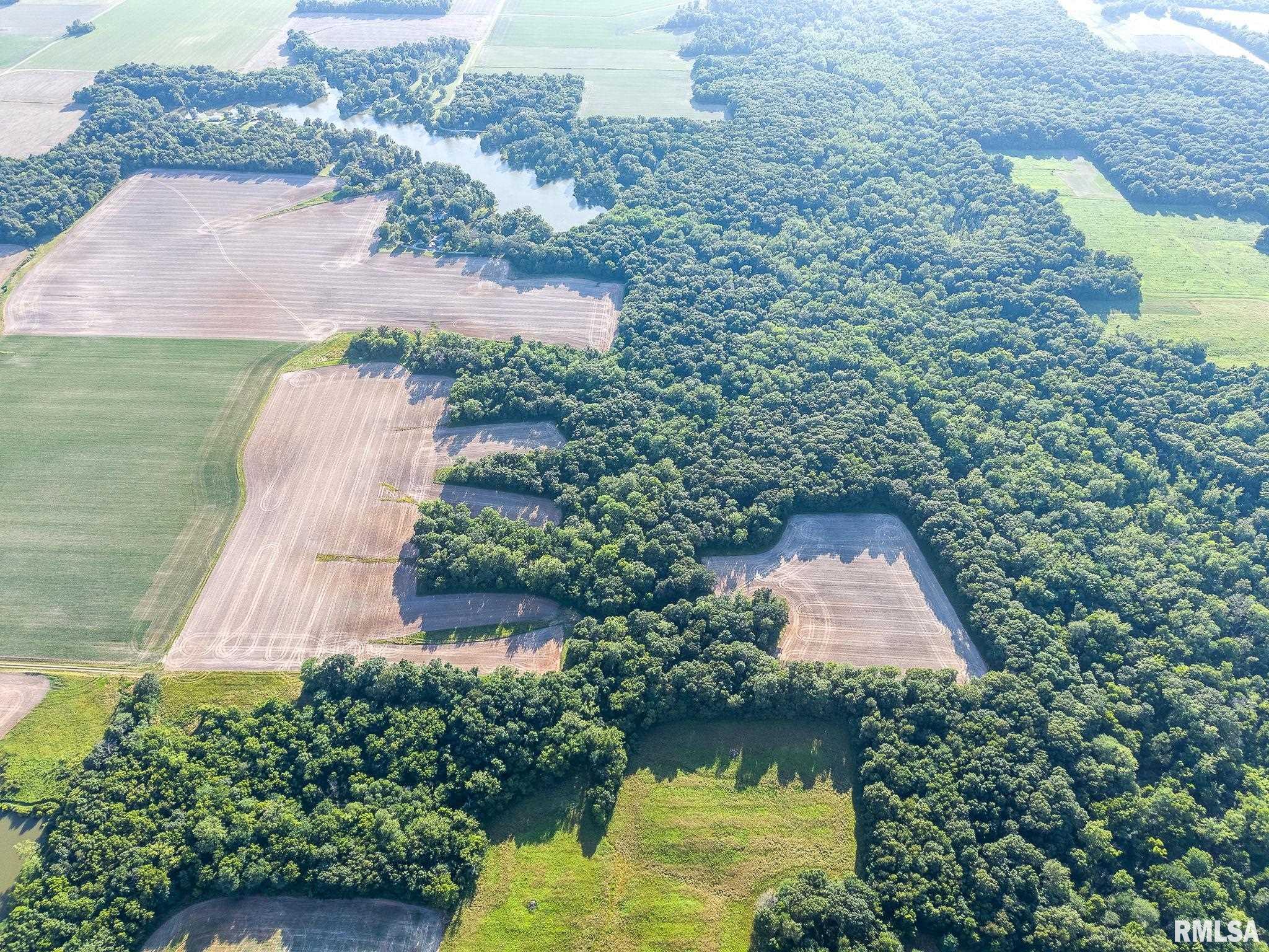 0 Jones Ridge Road Alma, IL 62807 - Photo 17 of 19