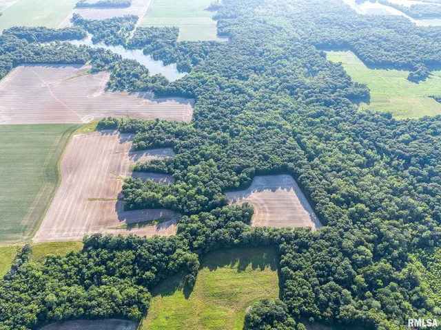 $470,000 | 0 Jones Ridge Road, Alma, IL 62807