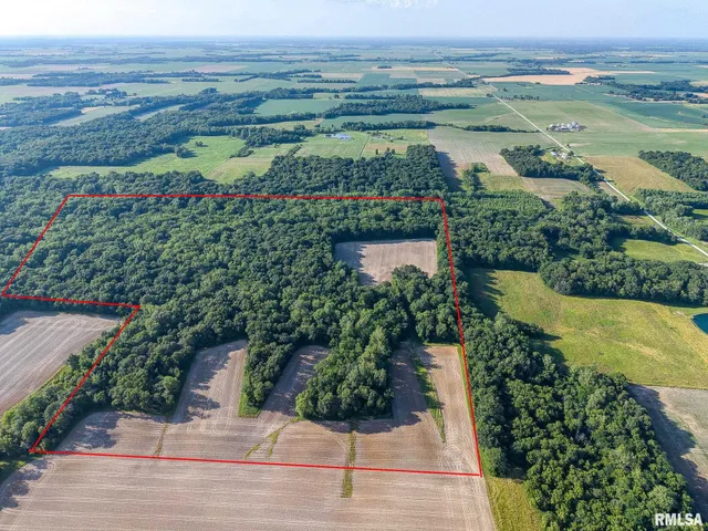 $470,000 | 0 Jones Ridge Road, Alma, IL 62807
