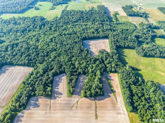 $470,000 | 0 Jones Ridge Road, Alma, IL 62807