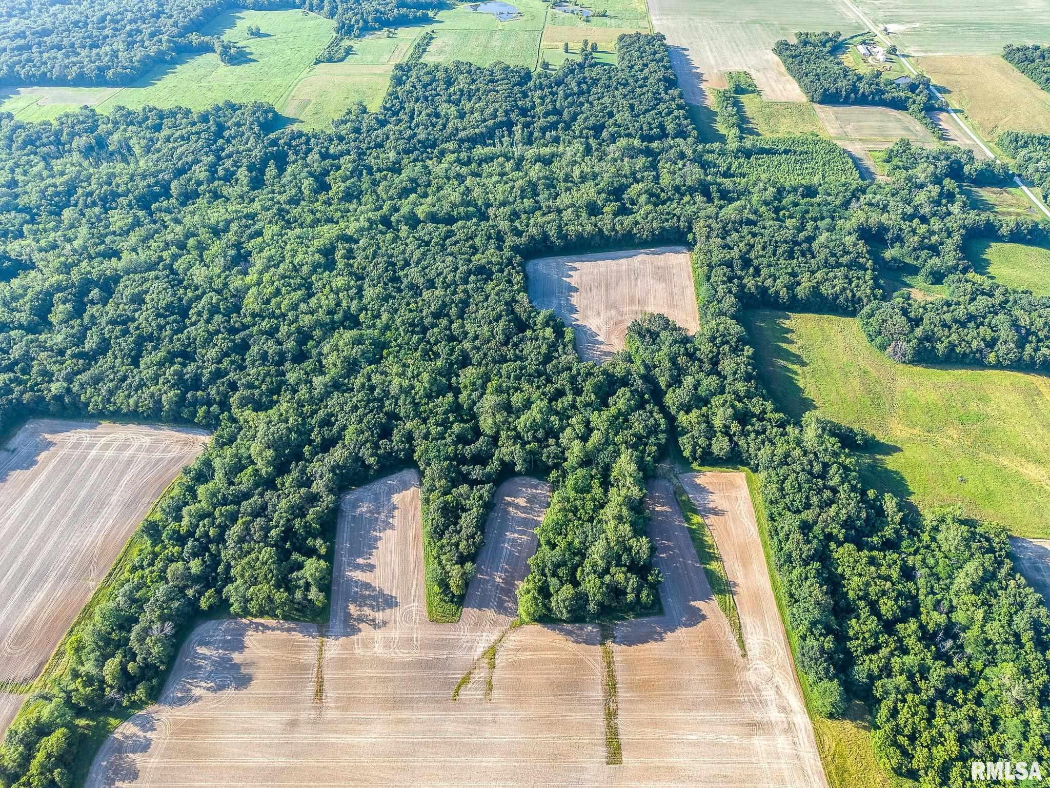 0 Jones Ridge Road Alma, IL 62807 - Photo 4 of 19